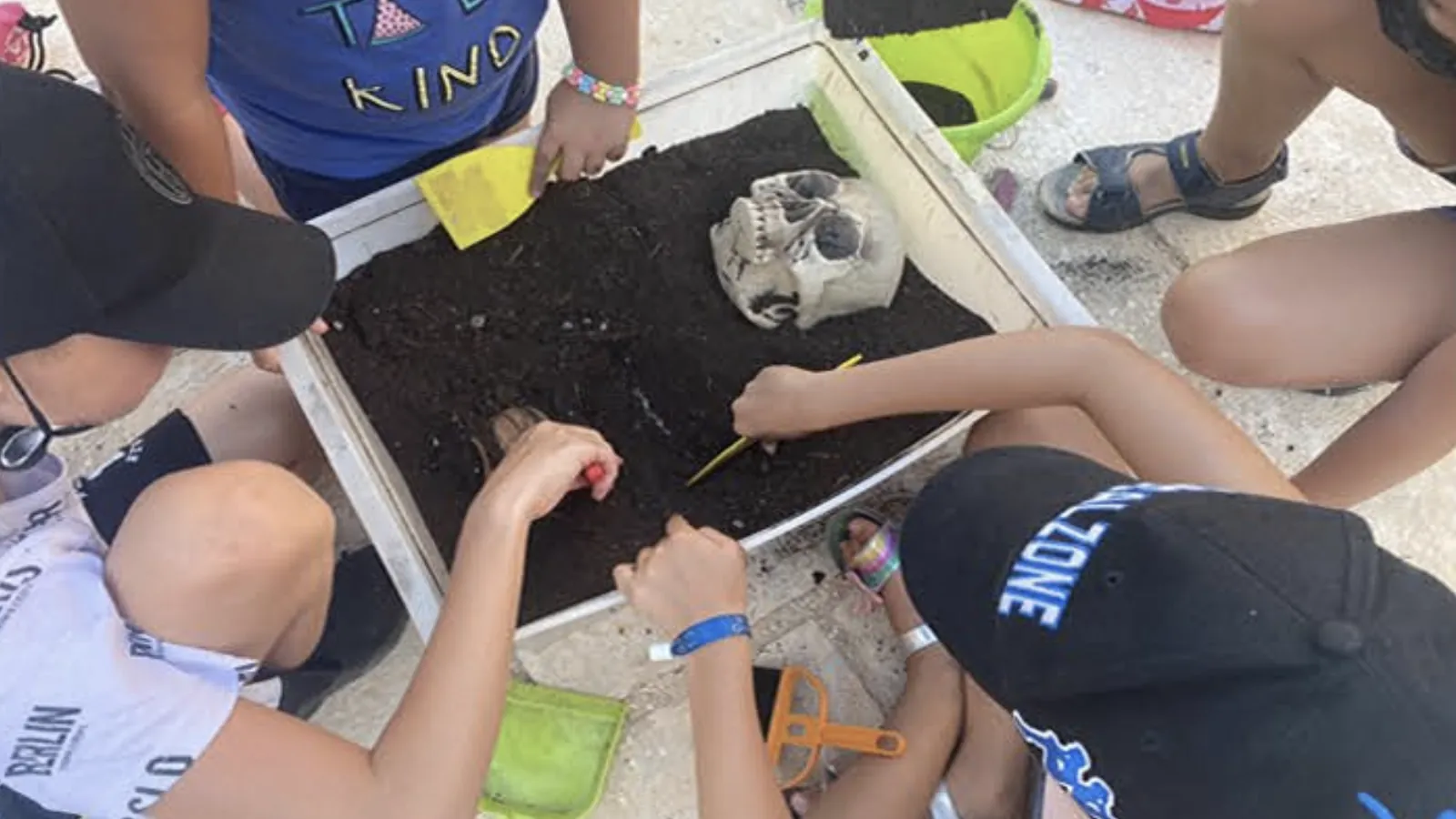 Visite guidate e attività didattiche per scuole in Puglia
